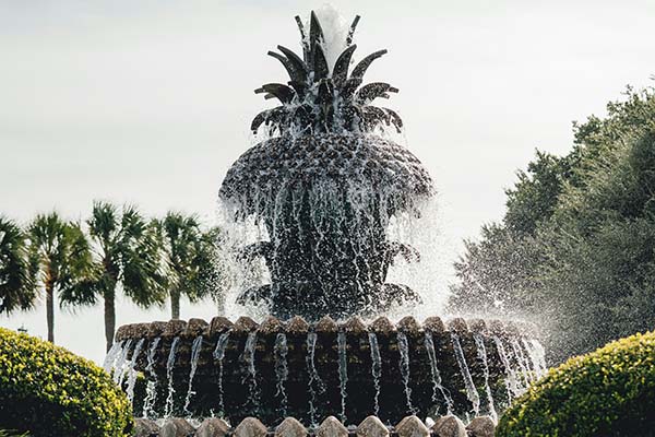Downtown Charleston communities
